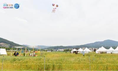 제2회 양평 밀 축제 '밀과 보리가 춤춘다' 이미지